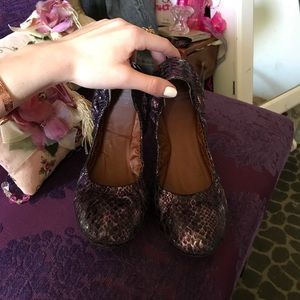 Lucky Brand flats in perfect condition! 🎀 🍀